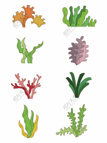 矢量可编辑海草植物海洋植物图标