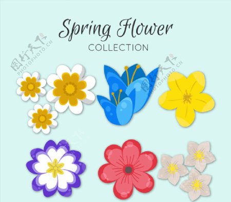 彩色质感春季花卉矢量素材