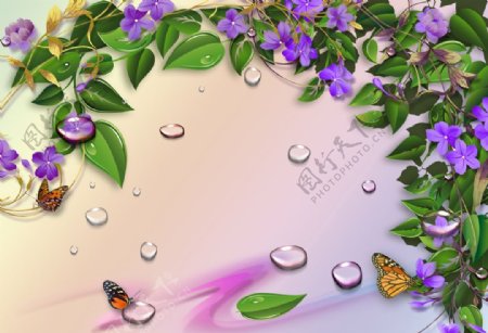 紫花绿叶藤蔓