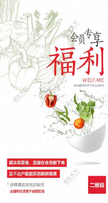 蔬菜广告设计
