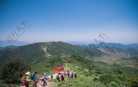 高山草甸