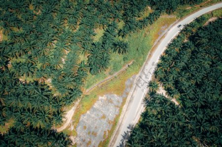 森林道路公路环保生态背景素材