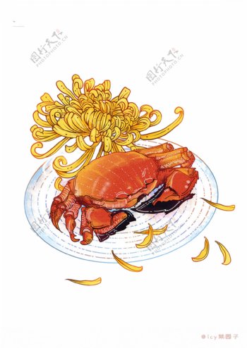 手绘螃蟹菊花手绘图