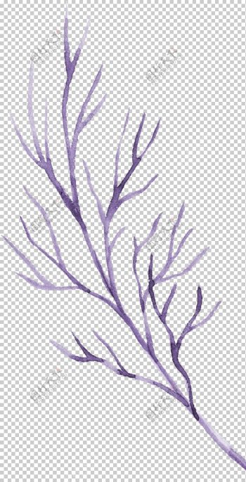 水彩绘画花朵树枝装饰