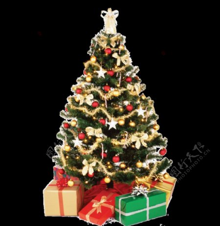 PNG圣诞树