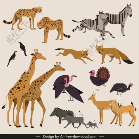 非洲野生动物