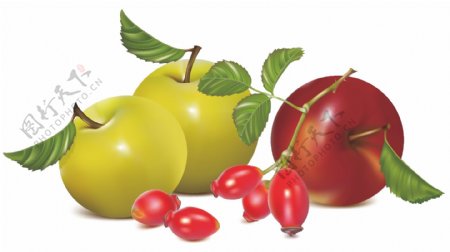 苹果西红柿手绘水果矢量素材