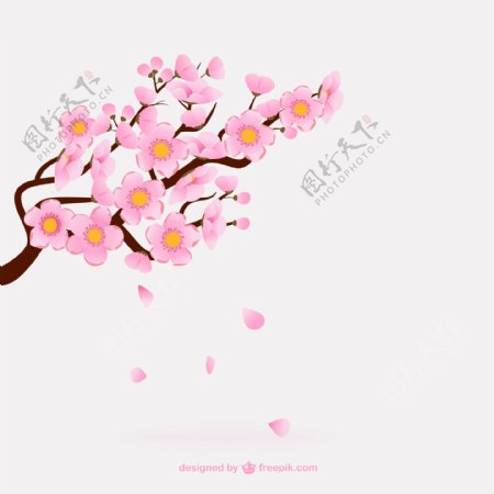 粉红色樱花树