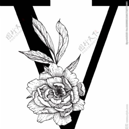 花卉装饰字母V