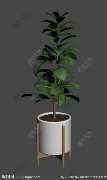 盆栽3d模型