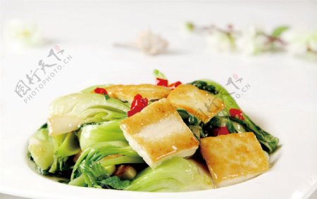 小油菜炕豆腐