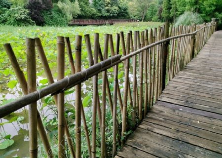 竹栅栏
