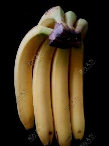 香蕉水果生鲜香甜营养健康