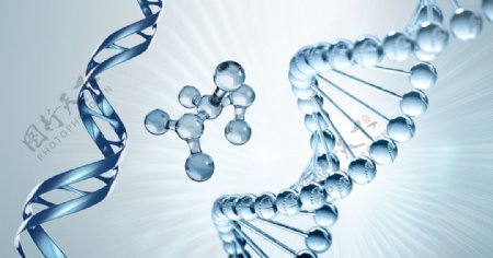 基因链DNA分子细胞图片
