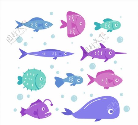 款彩色海洋鱼类图片
