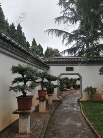 新中式庭院图片