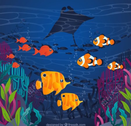 海底热带鱼群风景图片