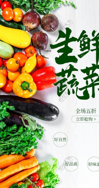 生鲜蔬菜美食食材海报素材图片