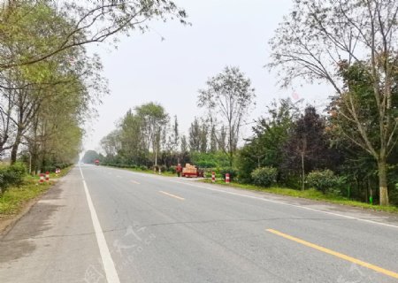 乡村道路风景图片