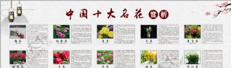 中国十大名花赏析图片