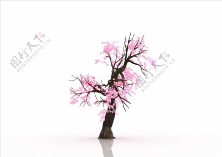 桃花樹桃花裝飾畫3D立體圖圖片