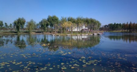 珠湖小镇图片