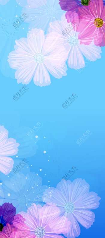 蓝花展架背景图片