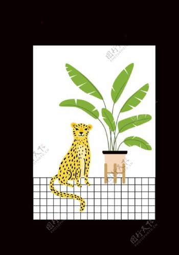 小豹子与植物图片
