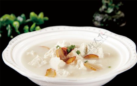 奶汤炖豆腐图片
