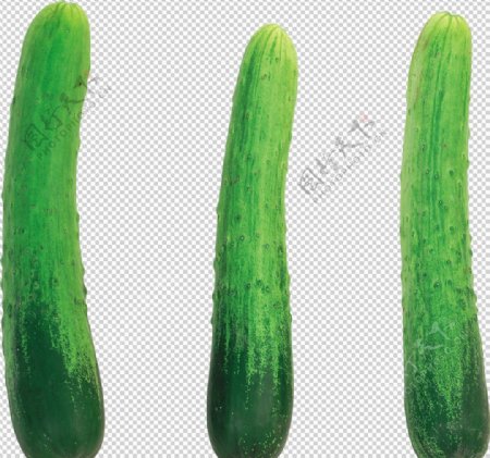 黄瓜透明底蔬菜免抠图ps图片