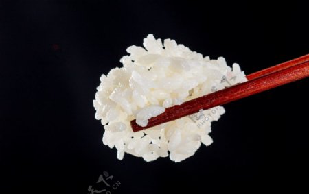 大米米饭食材背景海报素材图片