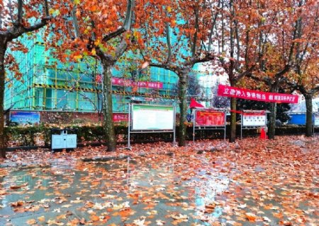 深秋时节的校园风景图片