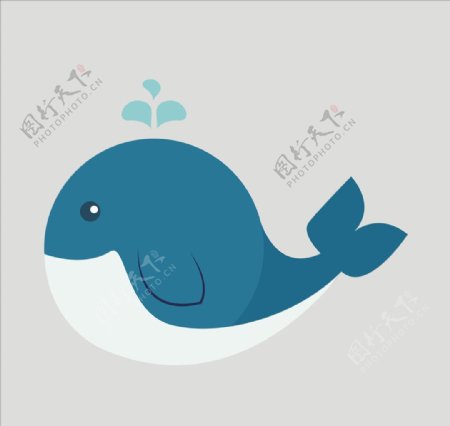 鯨魚矢量鯨魚圖片