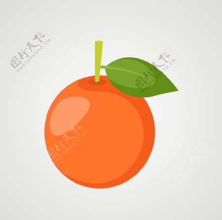 橙子橘子矢量橙子图片
