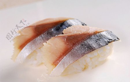 握寿司醋鲭鱼图片