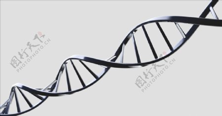 C4D模型DNA模型基因图片