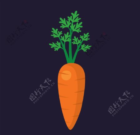 红萝卜蔬菜水果图片