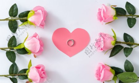 浪漫唯美粉色玫瑰图片