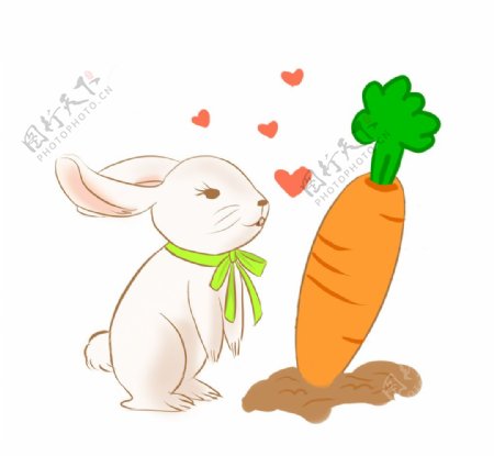 兔子胡萝卜插画图片