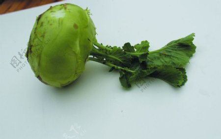 蔬菜苤兰图片
