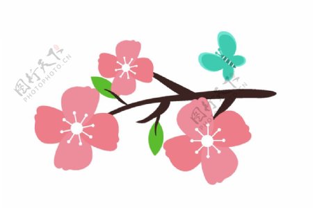 樱花桃花插画图片