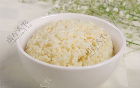 优质米饭图片