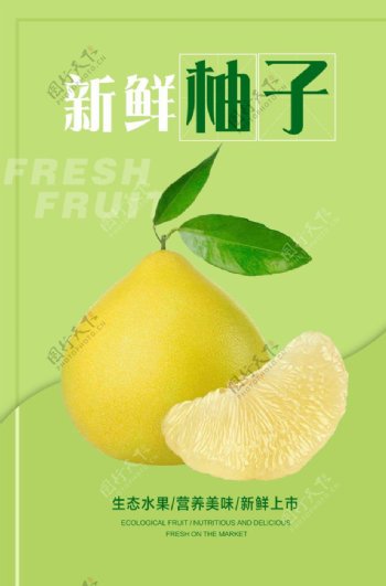 柚子海报图片
