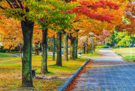 秋日园林风景图片