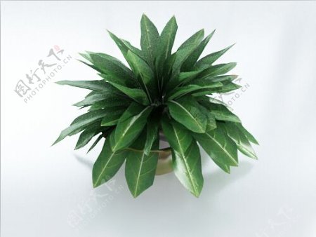 绿色植物3d模型源文件下载