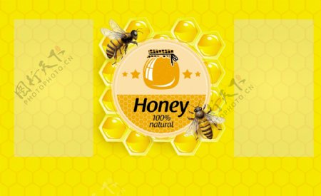 蜂蜜瓶贴名片卡片图片
