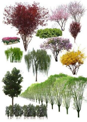 PSD时尚园林设计绿色植物素材