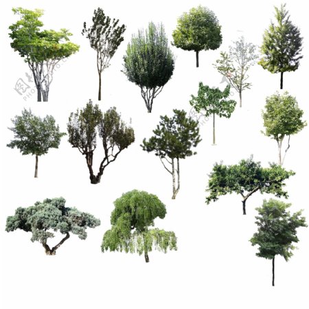 3D室外效果图环境素材绿植树木灌木