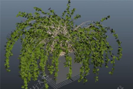 绿色盆栽游戏模型