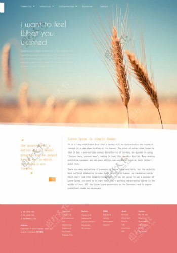 有机小麦农业网站
